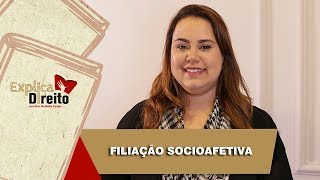 Explica Direito Filiação Socioafetiva  2019 [upl. by Anailli277]