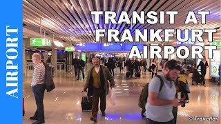 TRANSIT WALK AT FRANKFURT Airport FRA Terminal 1  Connection Flight Transfer Arriving amp Departing [upl. by Chivers]